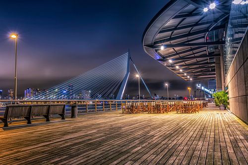Erasmusbrug Wilheminapier view