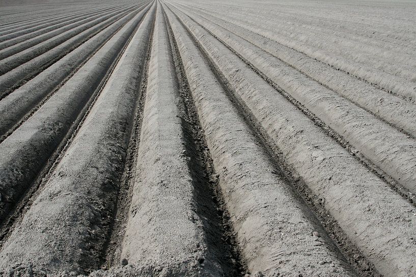 Linien Polderlandschaft von Inge Hogenbijl