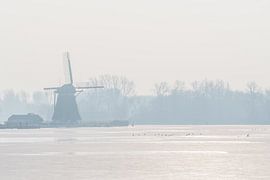 Molen aan Rottemeren