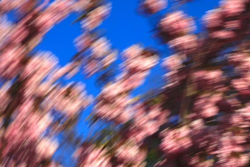 Farben des Frühlings von Thomas Jäger