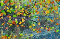 L'automne : la fête des feuilles par Rob IJsselstein Aperçu