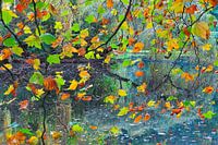 Autumn in Holland