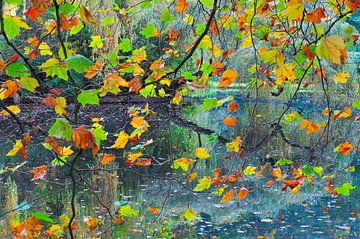 Autumn in Holland by Rob IJsselstein
