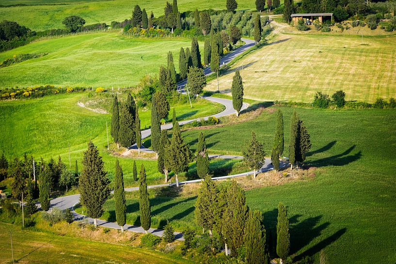 Enroulement de route bordée de cyprès en Toscane par iPics Photography