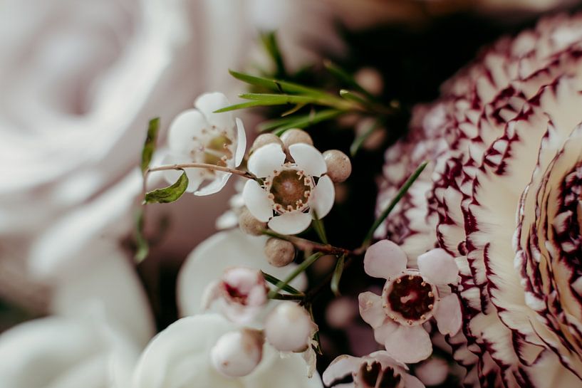 Flowers by Denny Lerch