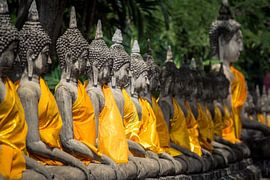 Row of Buddha Statues at Wat Phanan Choeng by Edwin Mooijaart