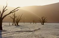 Landschap Zonsopkomst in Deadvlei von Iduna vanwoerkom Miniaturansicht