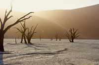 Landschap Zonsopkomst in Deadvlei
