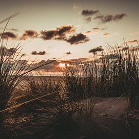 Coucher de soleil dans les dunes sur la plage sur Stedom Fotografie