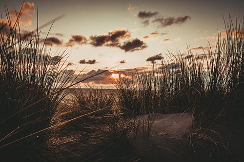 Coucher de soleil dans les dunes sur la plage sur Stedom Fotografie