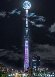 beautiful night at tokyo skytree