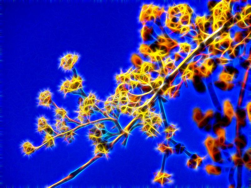 Neon lente van Edgar Schermaul