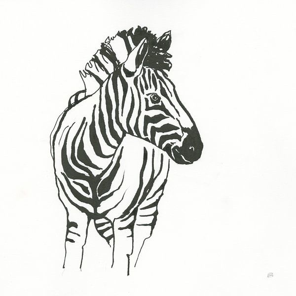 Afrikaanse dieren VIII, Chris Paschke van Wild Apple