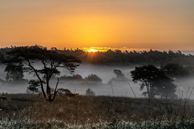 Sunrise by Bill hobbyfotografie