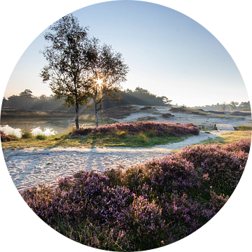 Zonsopkomst bosmeertje Heidestein Zeist Driebergen van Peter Haastrecht, van