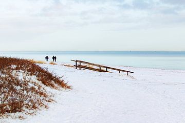 La neige à la mer Baltique sur Petra Dreiling-Schewe