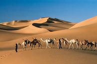 Wüste Sahara, Kamelkarawane von Frans Lemmens Miniaturansicht