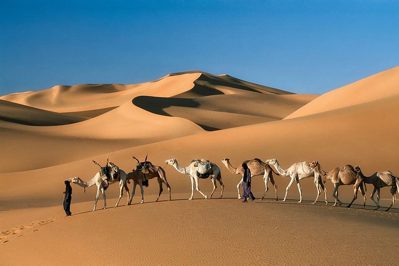 Wüste Sahara, Kamelkarawane von Frans Lemmens
