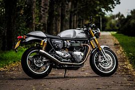 Triumph Thruxton R van Westland Op Wielen