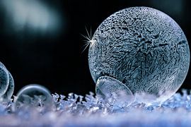 Filigree Frozen Soap Bubble by Margit Kluthke