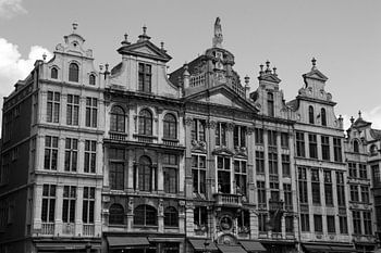 Brussel - Grote Markt. Kenmerkende panden in zwart-wit