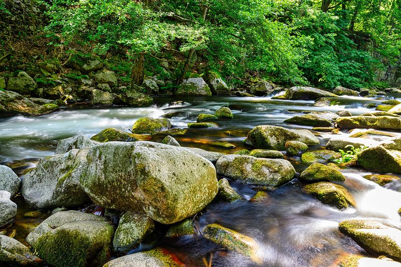 Vue du lit de la rivière Bode dans les montagnes du Harz par Andreas Völkel