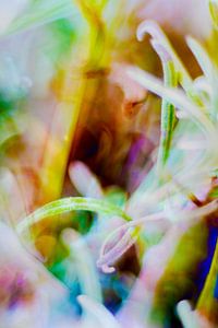 Abstract 23