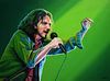 Eddie Vedder van Pearl Jam schilderij van Paul Meijering thumbnail