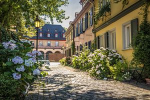 Blumengesäumte Altstadtgasse in Frankfurt-Höchst