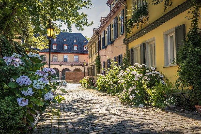 Met bloemen omzoomde oude steeg in Frankfurt-Höchst van Christian Müringer