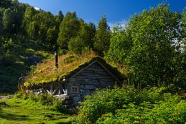 Alm Homlongsætra above Geirangerfjord by Anja B. Schäfer