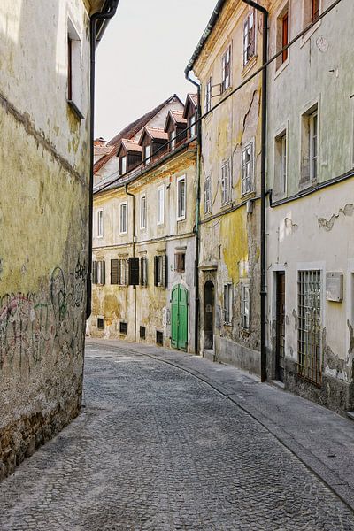 Oud straatje in Ljubljana Slovenie van Yvonne Smits