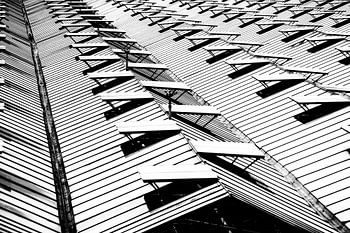 Het Westland vanaf de duinen gezien, glazen daken zo ver het oog reikt