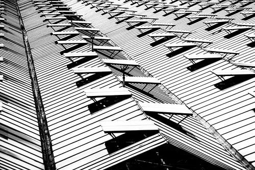 Het Westland vanaf de duinen gezien, glazen daken zo ver het oog reikt