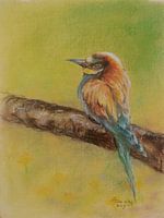 Bird 3