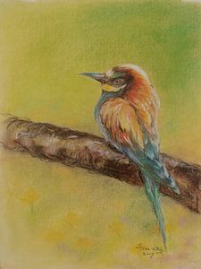 Oiseau 3