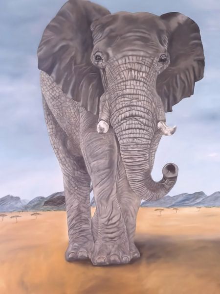 Elefant von Veronika Metasch