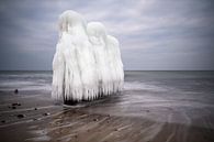 Winter an der Küste der Ostsee bei Kühlungsborn van Rico Ködder thumbnail