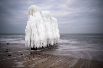 Groynes on shore of the Baltic Sea in winter time van Rico Ködder