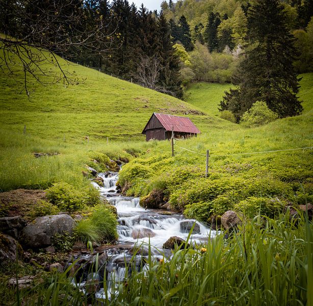 Kleiner Wildbach im Schwarzwald von Hans-Bernd Lichtblau