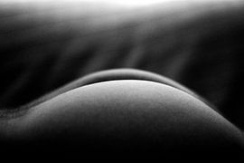 De Naakte Mannebillen von Cornelis (Cees) Cornelissen