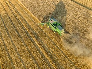 Combine oogst tarwe tijdens de zomer van Sjoerd van der Wal Fotografie