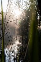 Nebel über Wasser
