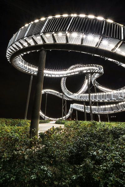 Magic Mountain von Sven Frech