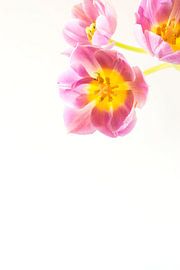 Andere Ecke von Esther Valstar