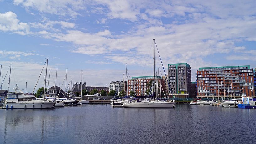 Die Skyline von Ipswich wurde durch die markante Entwicklung am Stoke Quay verändert. von Babetts Bildergalerie