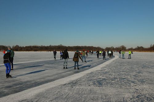 Schaatsers op de Nannewiid