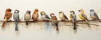 10 Vogels