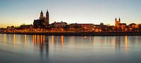 Magdeburg Skyline Panorama von Frank Herrmann Miniaturansicht