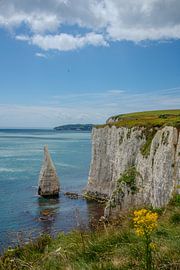 Chalk cliffs at Birling Gap, Sussex